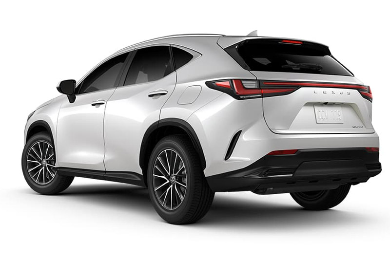 Lexus NX 350 2022 Back View